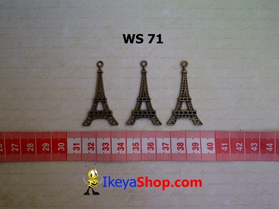 WS 71  large2
